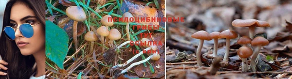 Альфа ПВП Видное