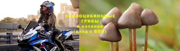 ГАЛЛЮЦИНОГЕННЫЕ ГРИБЫ Няндома