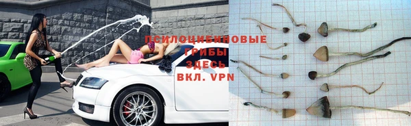 гидра Весьегонск