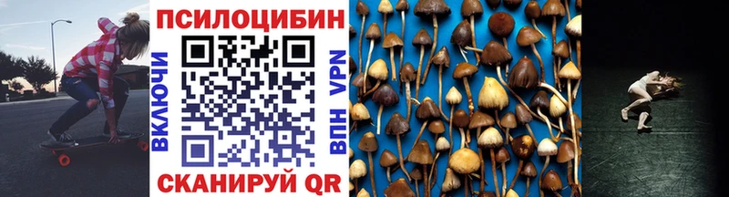 Галлюциногенные грибы GOLDEN TEACHER  omg зеркало  Красноармейск 